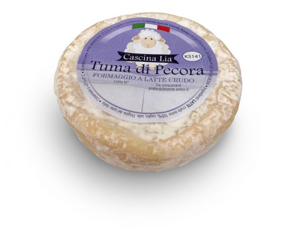 Tuma di Pecora Lia