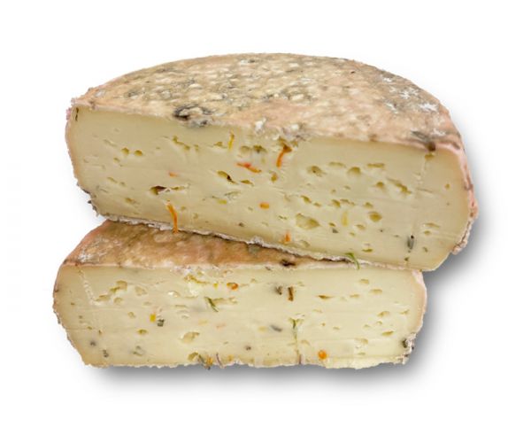 Fiorella