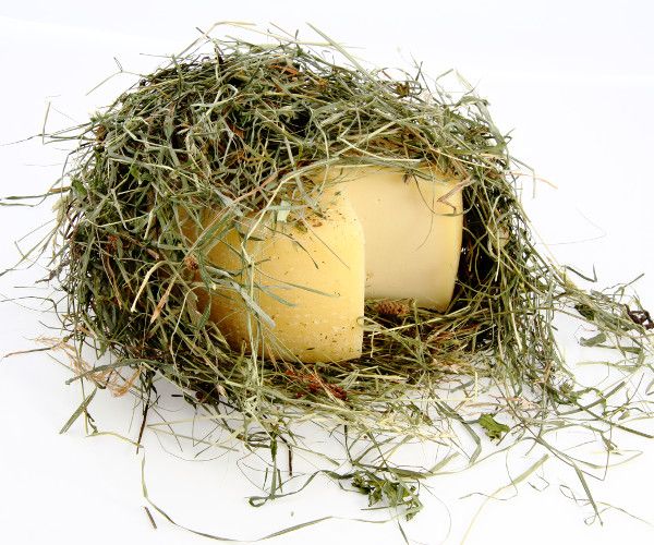 Pecorino nel fieno