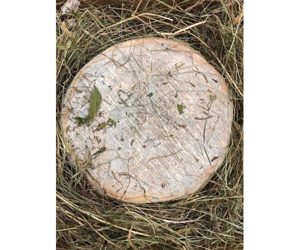 Toma di campo