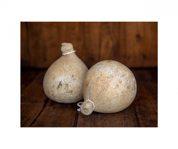 Caciocavallo podolico