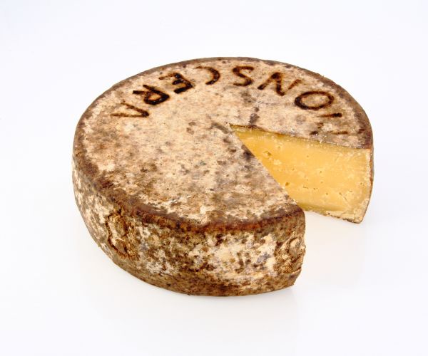 Grasso d'alpe Monscera