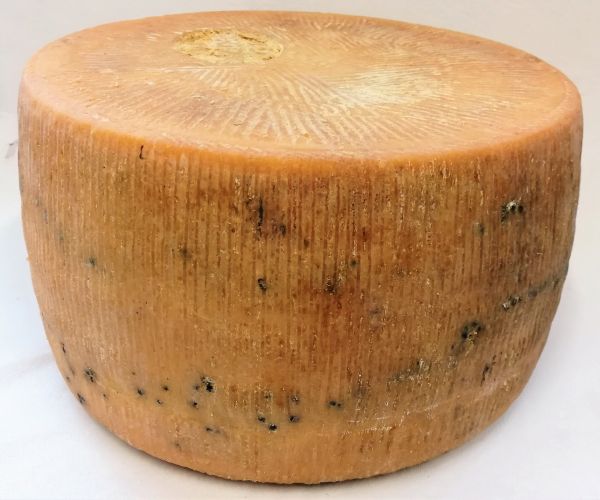 Pecorino di Sicilia Pepato Stagionato