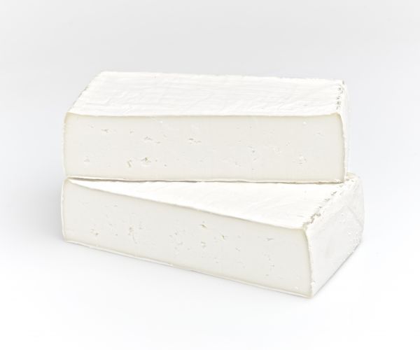 Scimudin di capra
