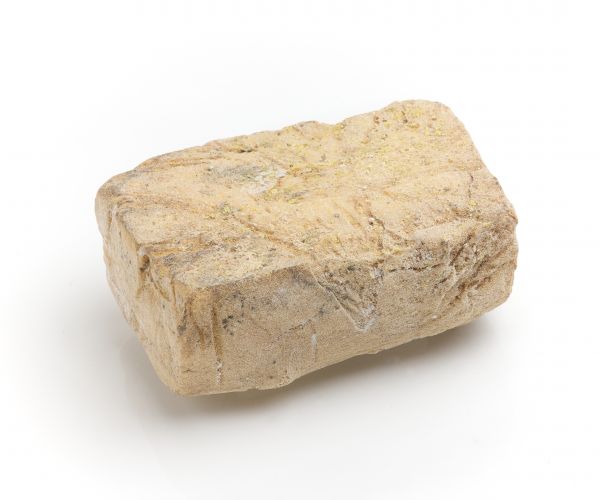 Sola di capra